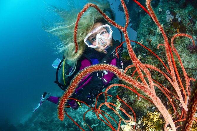 Scuba Dive With Sharing Transfers - Key Points