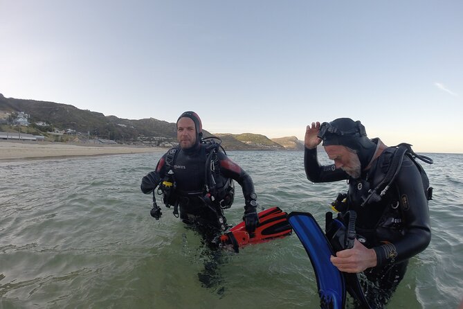 Scuba Diving Experience in Simonstown With an Expert - Key Points