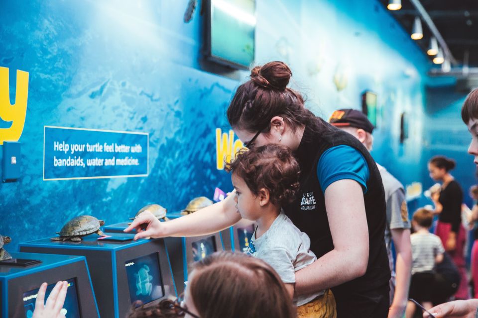 Sea Life Kelly Tarlton's Aquarium General Admission - Key Points