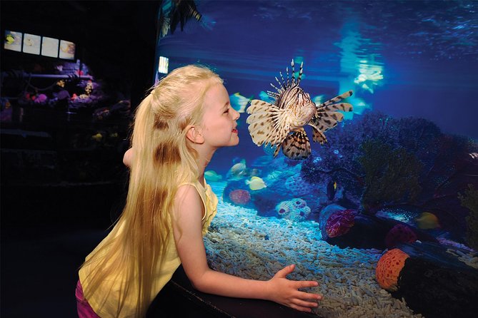 SEA LIFE San Antonio Admission Ticket - Key Points