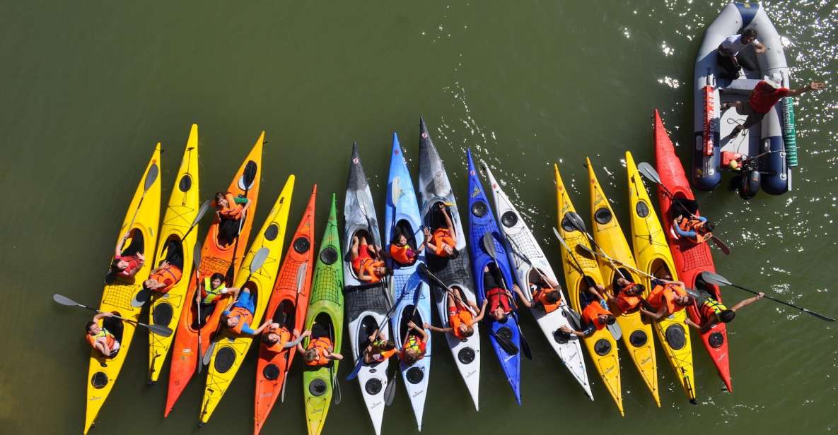 Seville: Guadalquivir River Kayak Tour or Kayak Rental - Key Points