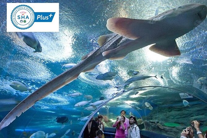 Skip-the-Line Underwater World Pattaya Ticket - Key Points