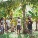 small group visit maui coconut farm at punakea palms Small-Group Visit Maui Coconut Farm at Punakea Palms