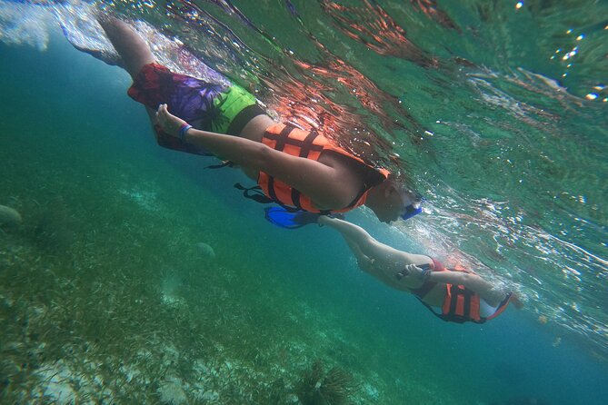 snorkeling adventure in puerto morelos includes snack water and round trip Snorkeling Adventure in Puerto Morelos Includes Snack, Water and Round Trip.
