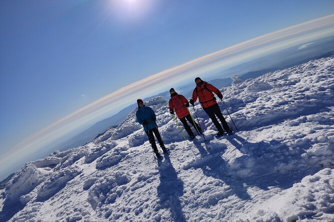 Snowshoes in Madrid - Initiation - Seven Peaks Route - Activity Overview