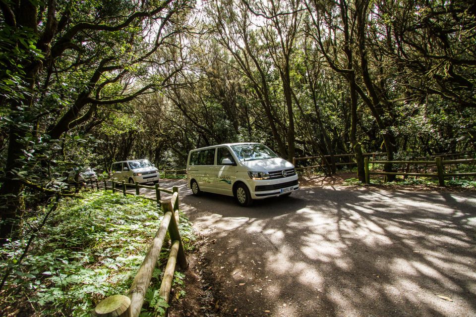 South Tenerife: San Cristóbal De La Laguna and Anaga Tour - Key Points