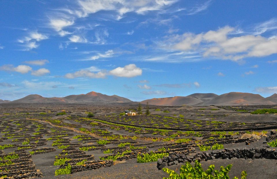 South Tour: Timanfaya National Park - Key Points