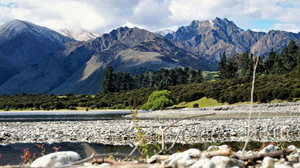 Stevensons Island 2-Hour Cruise and Nature Walk - Booking Details