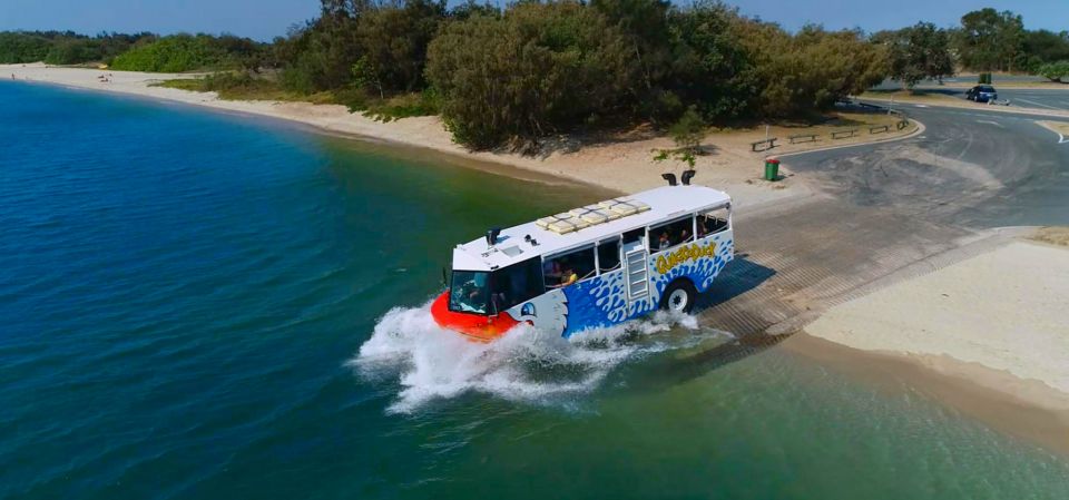 Surfers Paradise: Guided Gold Coast Amphibious Bus Tour - Key Points