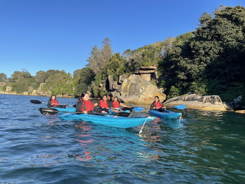 Sydney: Guided Kayak Tour of Manly Cove Beaches - Key Points