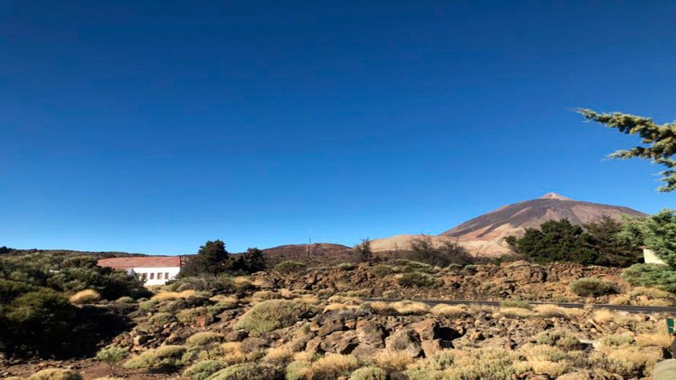 Tenerife: Teide National Park Guided Full-Day Trip by Bus - Key Points