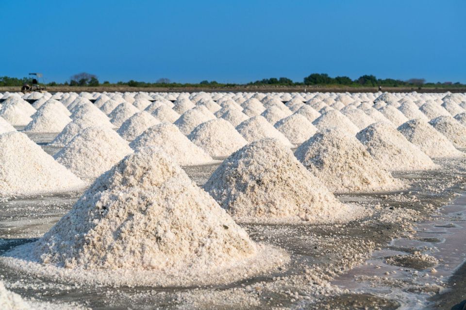 The Salt Pans of Marsala - Visit and Sunset in the Salt Pan - Key Points