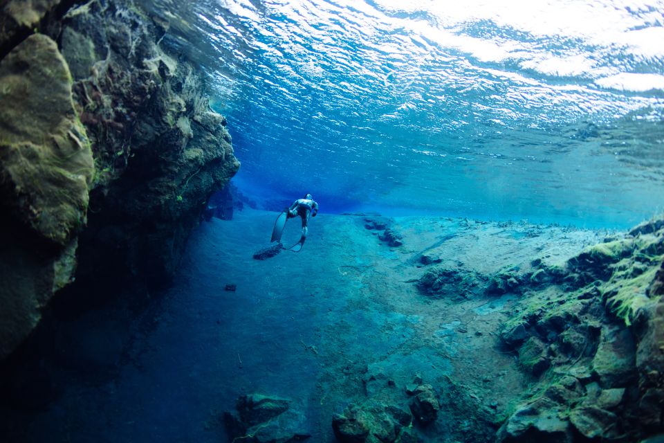 Thingvellir: Silfra Freedive Adevnture With a Guide - Key Points