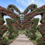 three at one time dubai miracle garden with butterfly garden global village Three at One Time !! Dubai Miracle Garden With Butterfly Garden & Global Village
