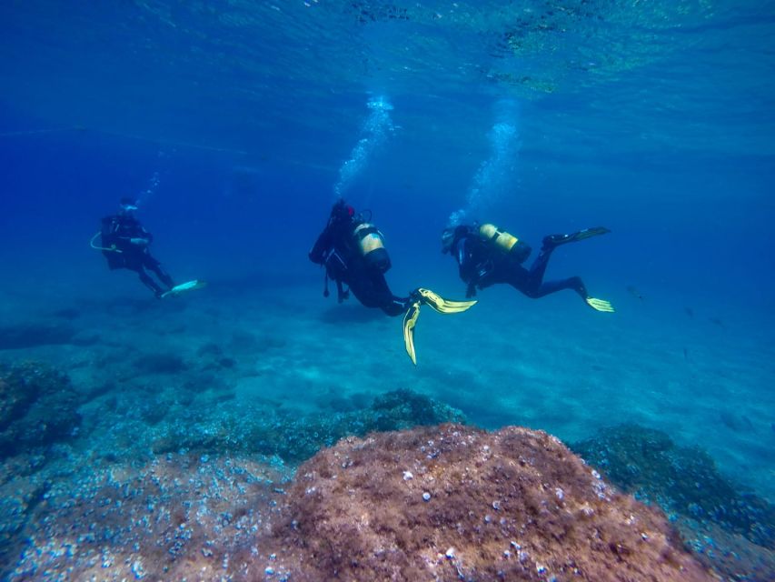 Tossa De Mar: Scuba Diving Experience for Beginners - Key Points