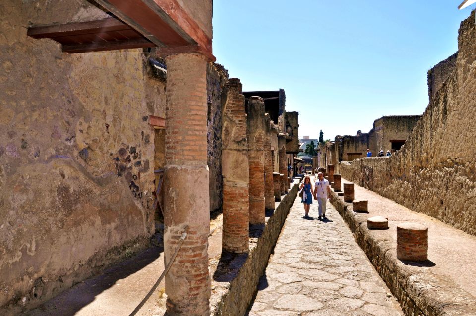 Transfer From Naples to Sorrento With Tour in Herculaneum - Key Points