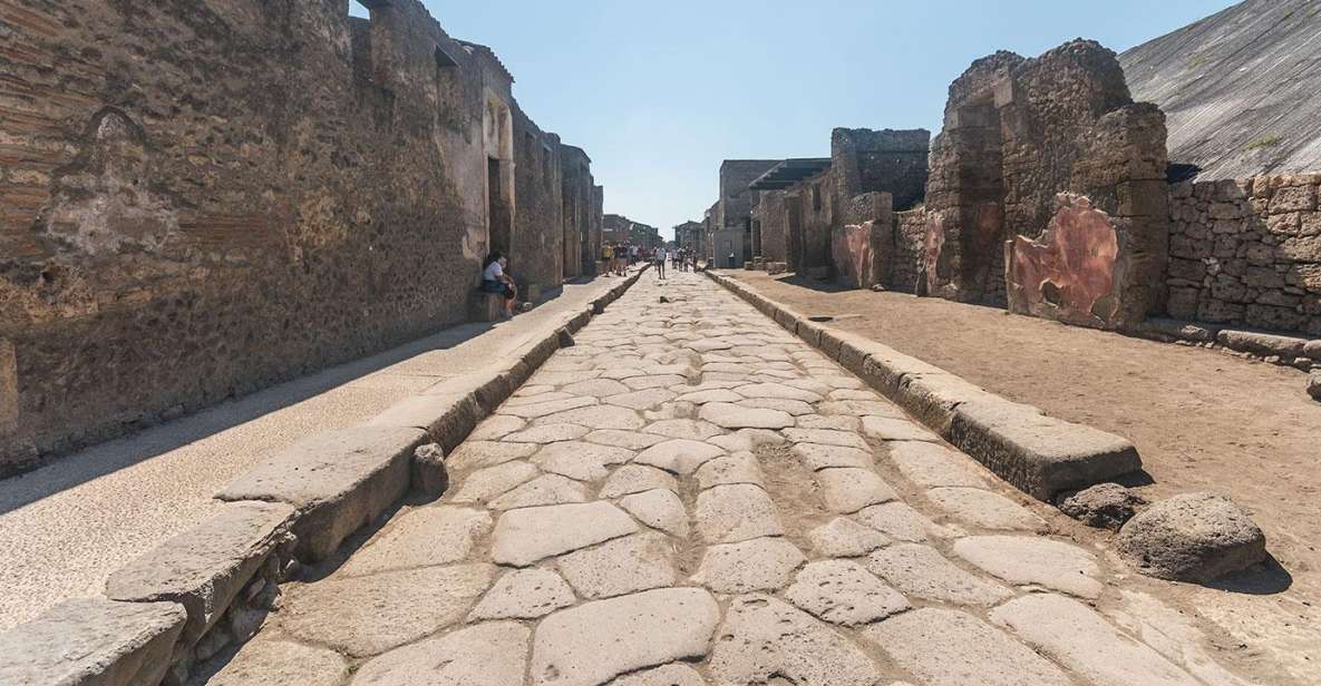 Transfer From Positano to Rome Area & Pompeii Guided Tour - Key Points