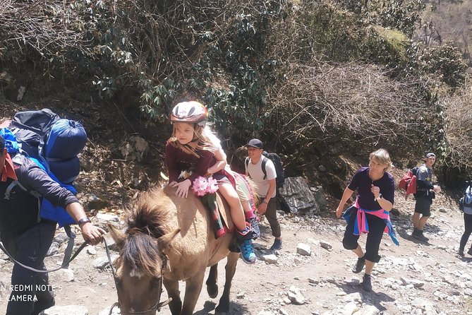 Trip to the Heart of the Himalayas: A Stunning Langtang and Gosaikunda Trek