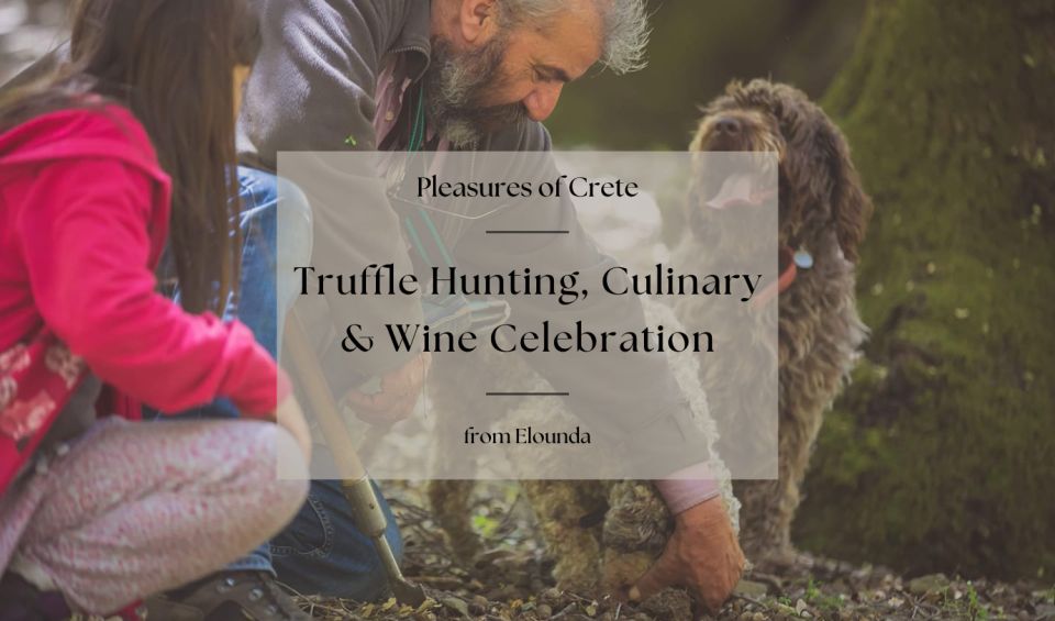 Truffle Hunting, Culinary & Wine Celebration From Elounda - Directions to Participate