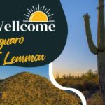 tucson mt lemmon saguaro np self guided bundle tour 4 Tucson: Mt Lemmon & Saguaro NP Self-Guided Bundle Tour