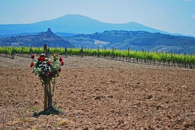 val d orcia gourmet food tour from siena Val D Orcia Gourmet Food Tour From Siena