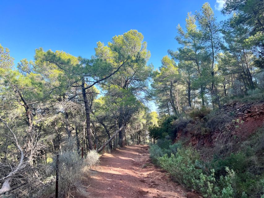 Valencia: Sierra Calderona & El Garbí Mountain Hiking Tour - Key Points