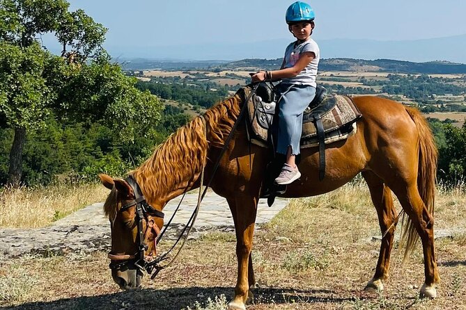 Visit a Farm and Horseback Riding in Nature - Just The Basics