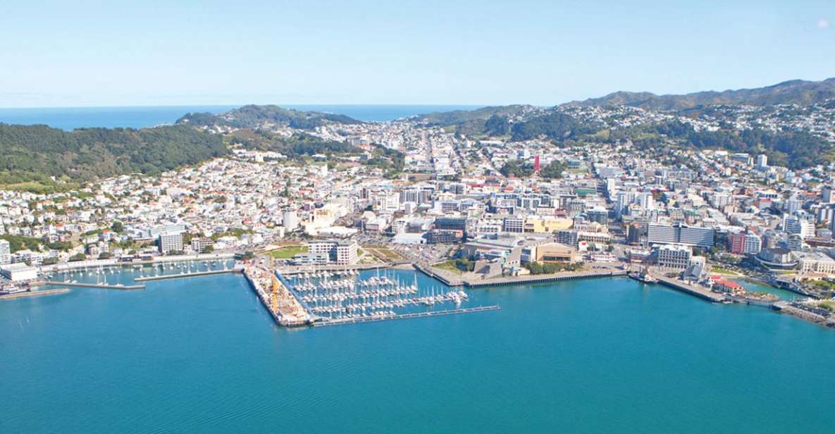 Wellington: Scenic South Coast Discovery Helicopter Flight - Key Points