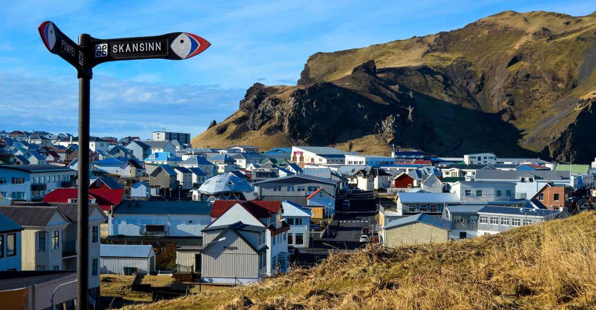Westman Islands Day Tour From Reykjavik - Key Points