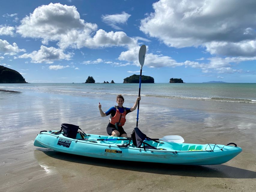 Whangamata: Donut Island Guided Kayaking Experience - Key Points