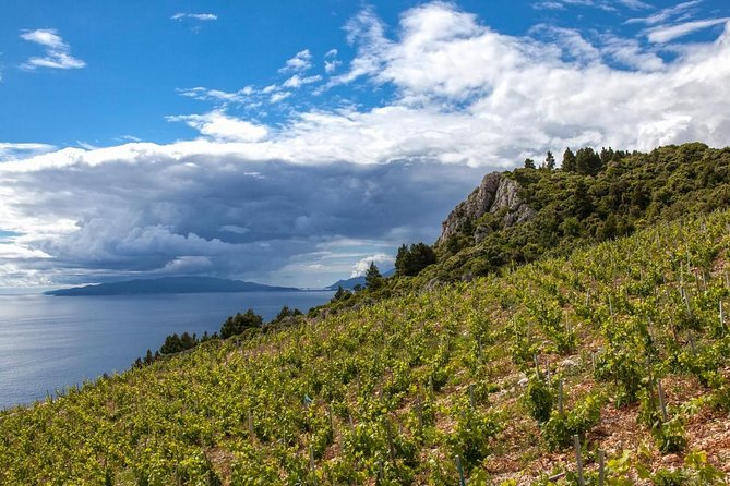 Wine Lovers Tour From Dubrovnik