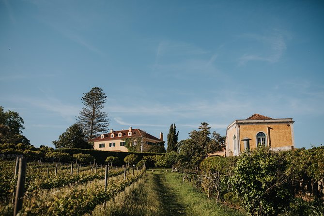 Wine Tasting at Mafra (30kms of Lisbon) Monastery of Mafra Ericeira Village - Key Points