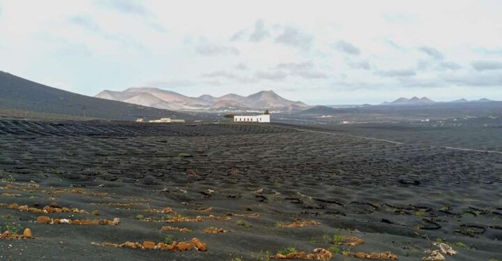 Winetourism in Lanzarote: the First Vineyards in Masdache - Key Points