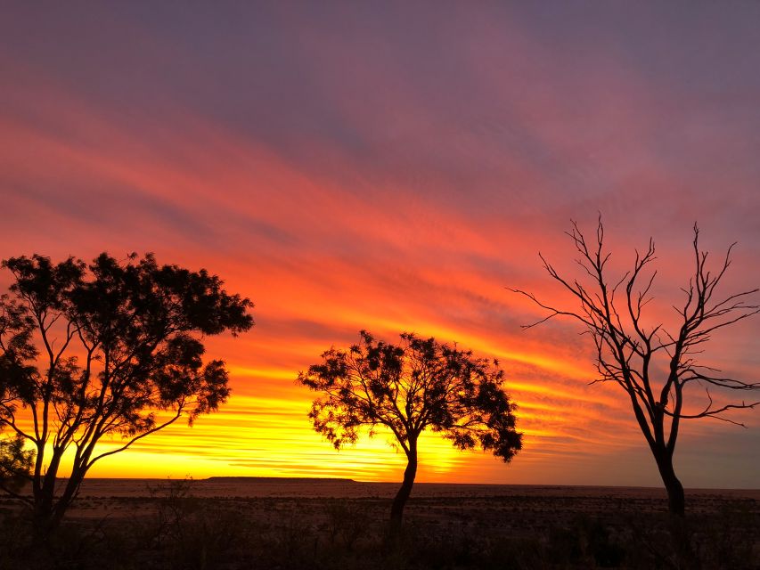 Winton: Rangelands Rifts & Sunset Tour - Key Points