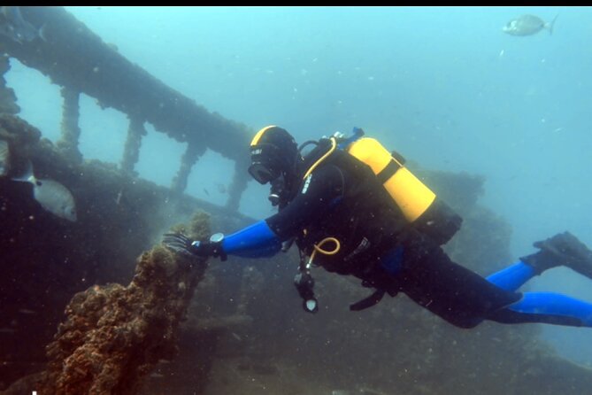 Wreck Diving the Ocean Revival Park - Overview of Ocean Revival Park