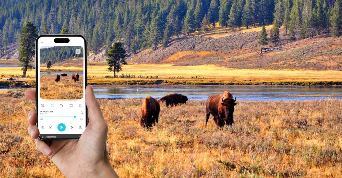 Yellowstone: Self-Driving Audio Tour From West Entrance (EN) - Key Points