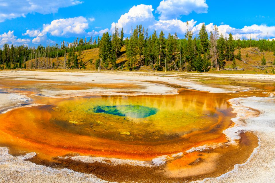 Yellowstone: Self-Guided Tour of National Park Highlights - Key Points