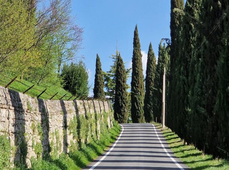 Bike and Coffee on Conegliano and Surrounding Hills