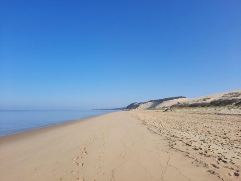 Dune Du Pilat and Oysters Tasting ! What Else ?