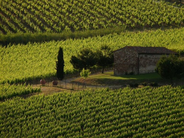 From Florence: Chianti Wine Tastings at Sunset Day Trip