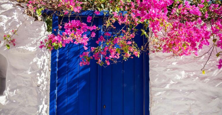 From Mykonos Town: Guided Sightseeing Tour With Windmills