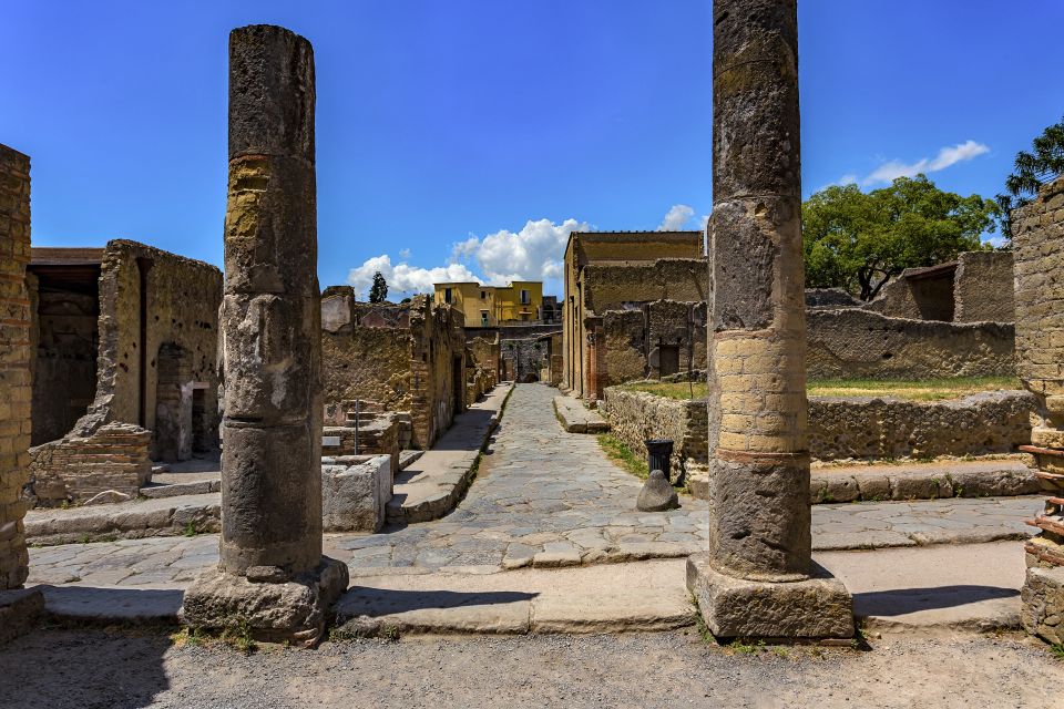 1 herculaneum 2 hour private guided tour Herculaneum 2-Hour Private Guided Tour