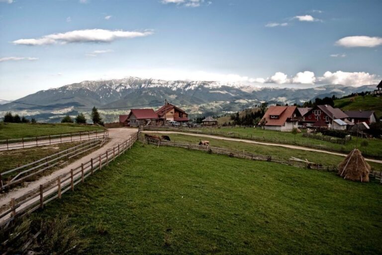 Local Experience in Brasov and Its Surroundings