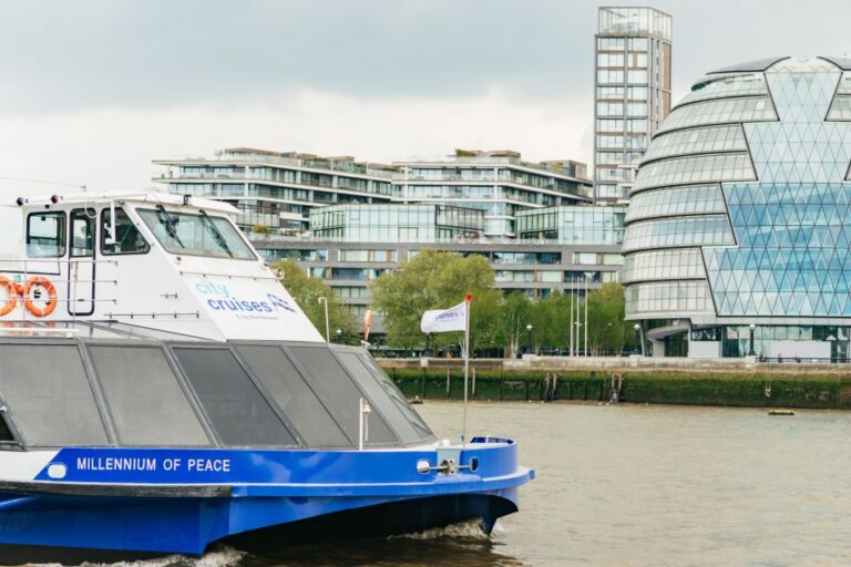 London: River Thames Hop-On Hop-Off Sightseeing Cruise