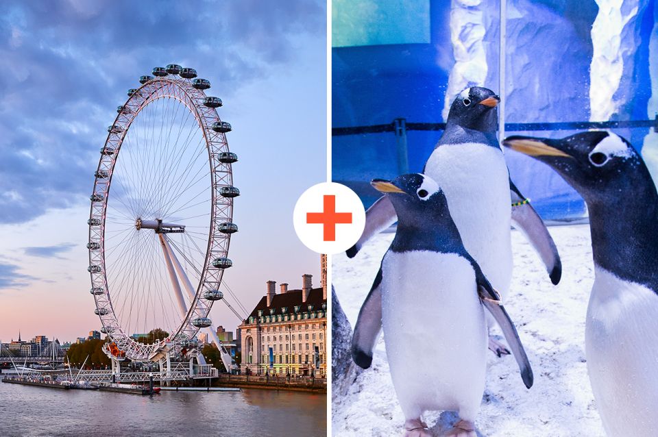 1 london sea life london eye combo ticket London: SEA LIFE & London Eye Combo Ticket