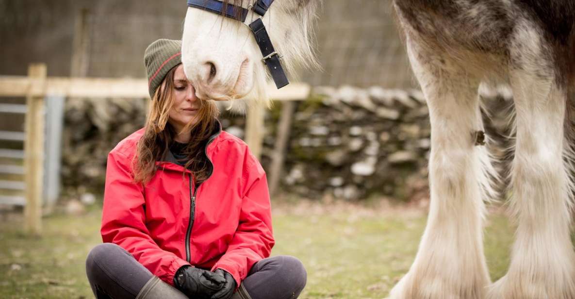 Meditate With Horses Full Circle Experiences - Booking Information