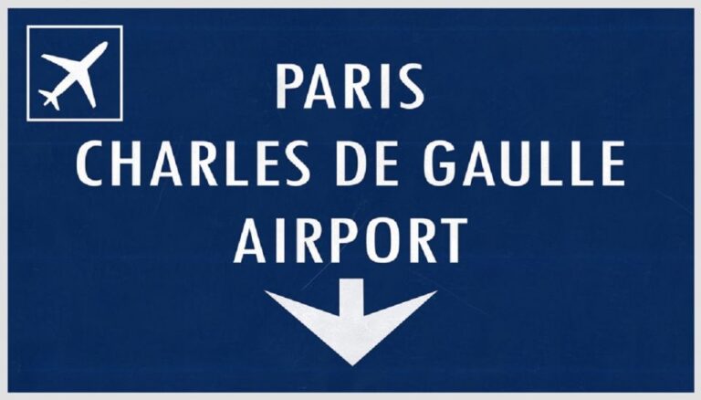 Paris: Private Transfer From CDG Airport to Disneyland