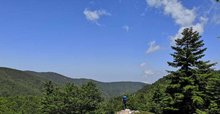 Reggio Calabria: Aspromonte Trails Trek to Montalto Summit