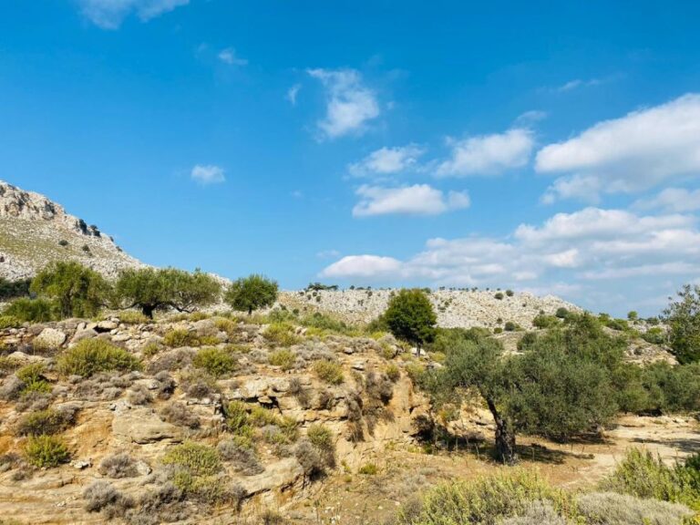 Rhodes: Guided Hike to 7 Springs From Archangelos