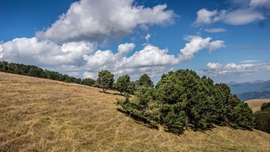 Sightseeing of Subasio Mount